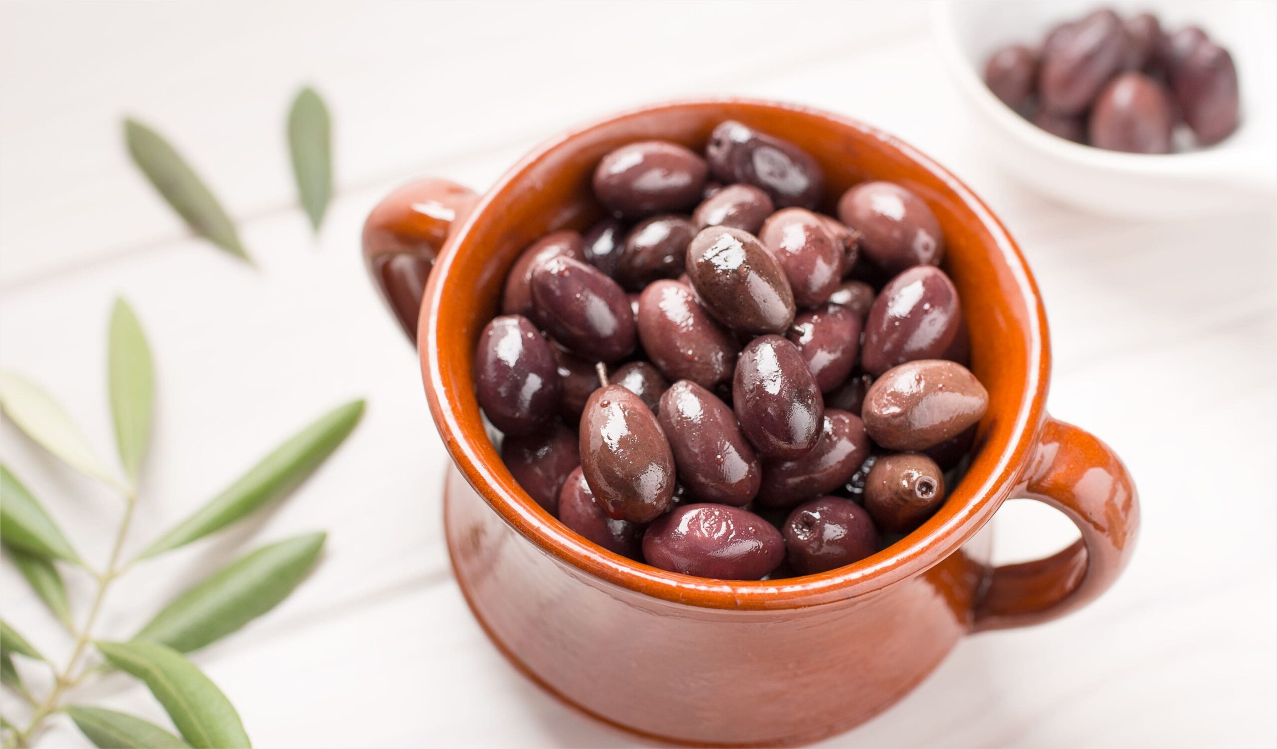 ALIMENTOS DE ARAGON Y CALIDAD DIFERENCIADA – HOTR02