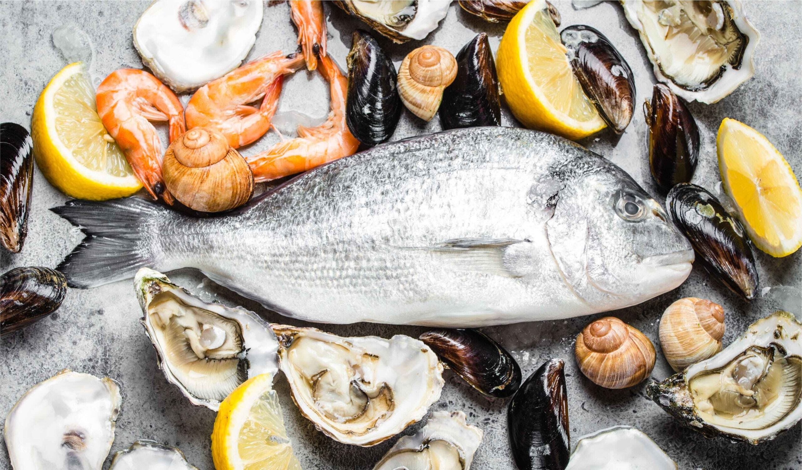 COCINA DE PESCADOS Y MARISCOS – HOTR0017