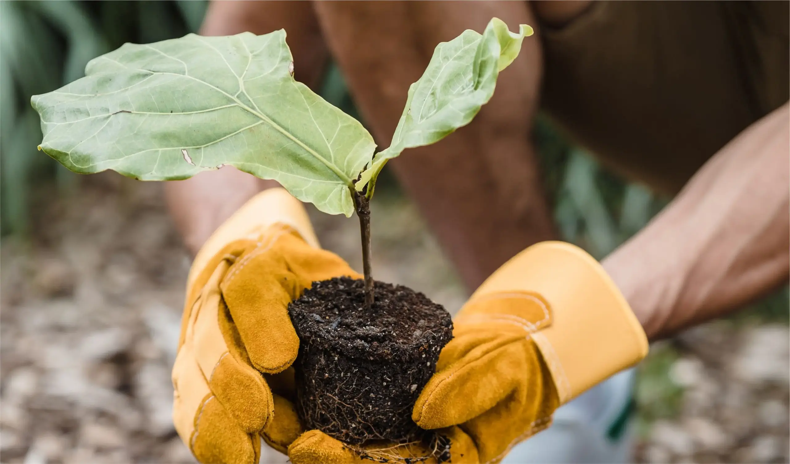 CONSULTORÍA AMBIENTAL – SEAG009PO